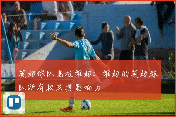 英超球队老板维超：维超的英超球队所有权及其影响力